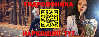 гидропоника Северобайкальск