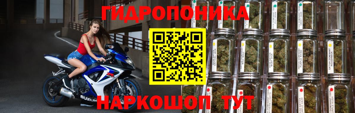 Канабис Amnesia  Каннабис тримм  Артёмовский  Вход с VPN  МАРИХУАНА AK-47  Каннабис White Widow 